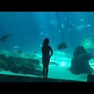 Meet your Posher, April